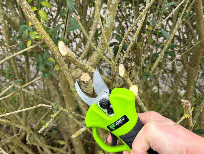 Beskjæringssaks oppladbar 21 V 2,0 Ah – Garden